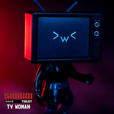 Skibidi Toilet Series - 1 Mystery Figure Collector Series 1310 - Colorland Toys